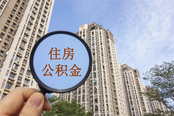 涟源深圳公积金（深圳公积金首页）